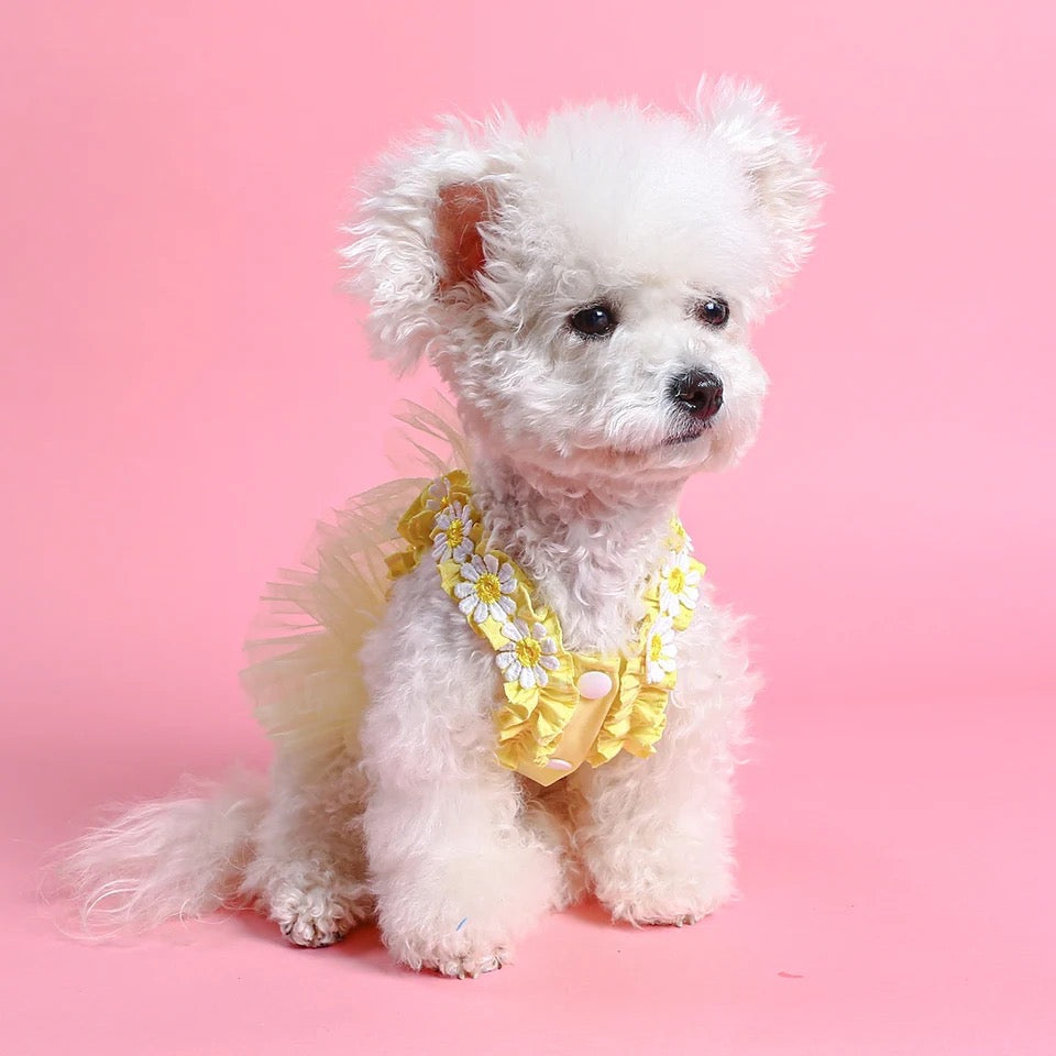 Easter Bunny Dress