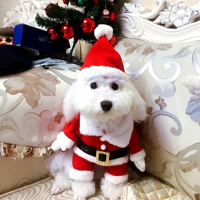 Santa Claws Is Coming Dog Outfit | Christmas Holiday Dog Outfit