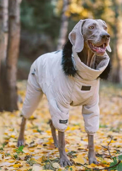 Winter Dog Jacket | Dog Jacket with Hood for Cold Weather