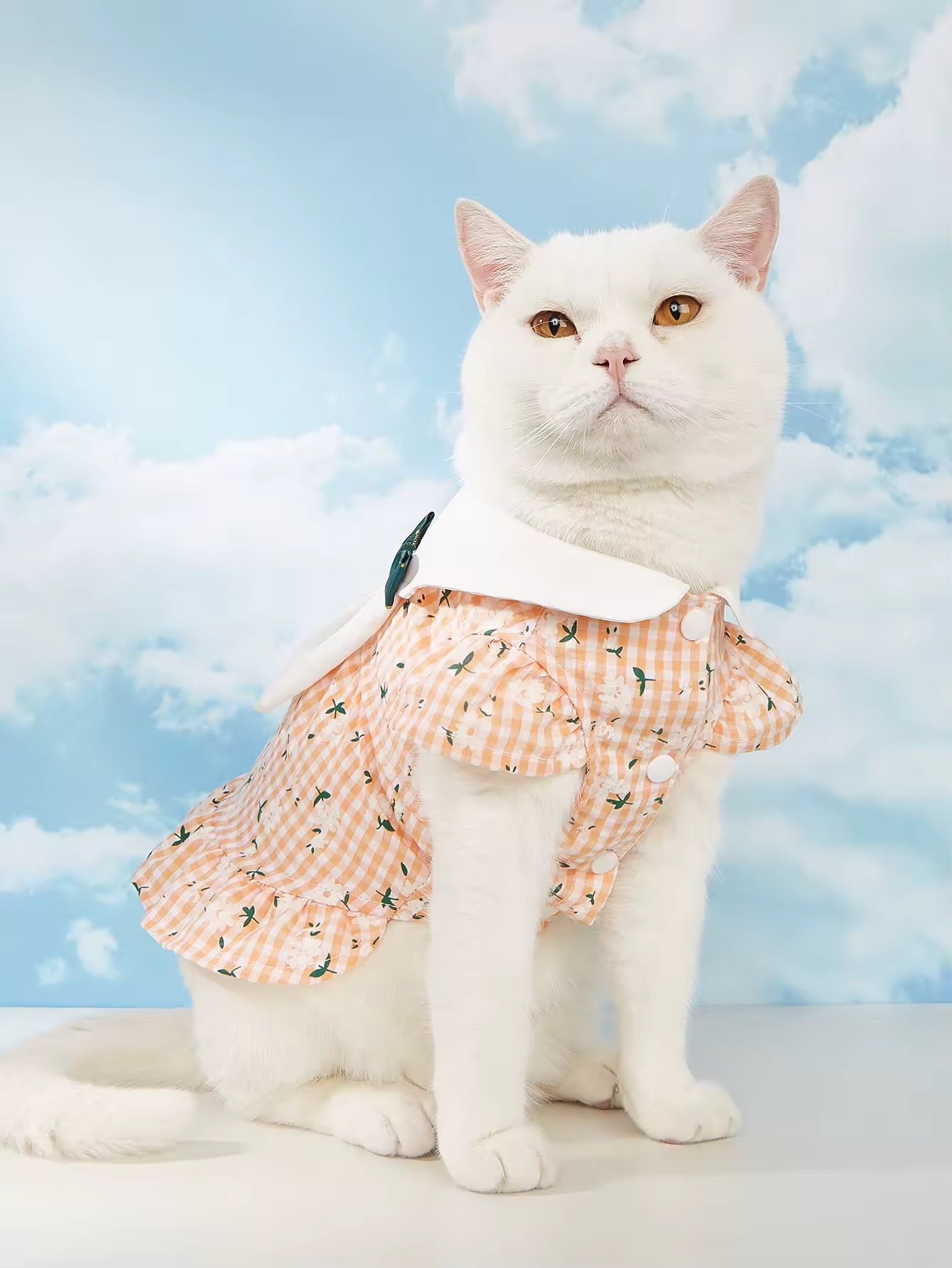 Peach Easter Bunny Dress – Easter Dog Dress