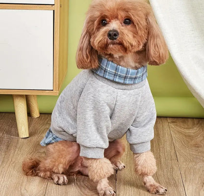 Adam Dog Sweater | Layered Dog Shirt and Knit Sweater