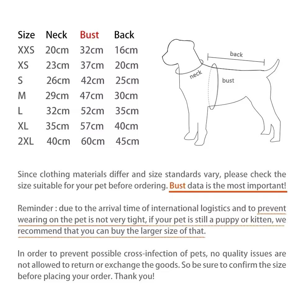 Bear Dog Hoodie | Dog Hoodie with Character Detail