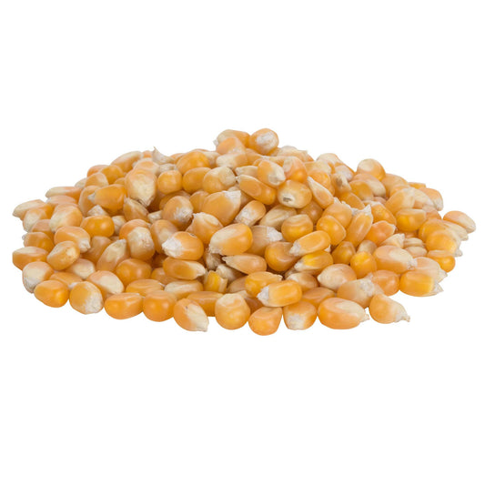 Bulk Mushroom Premium Popcorn Kernels (6lbs, 12lbs, 18lbs, 24lbs)