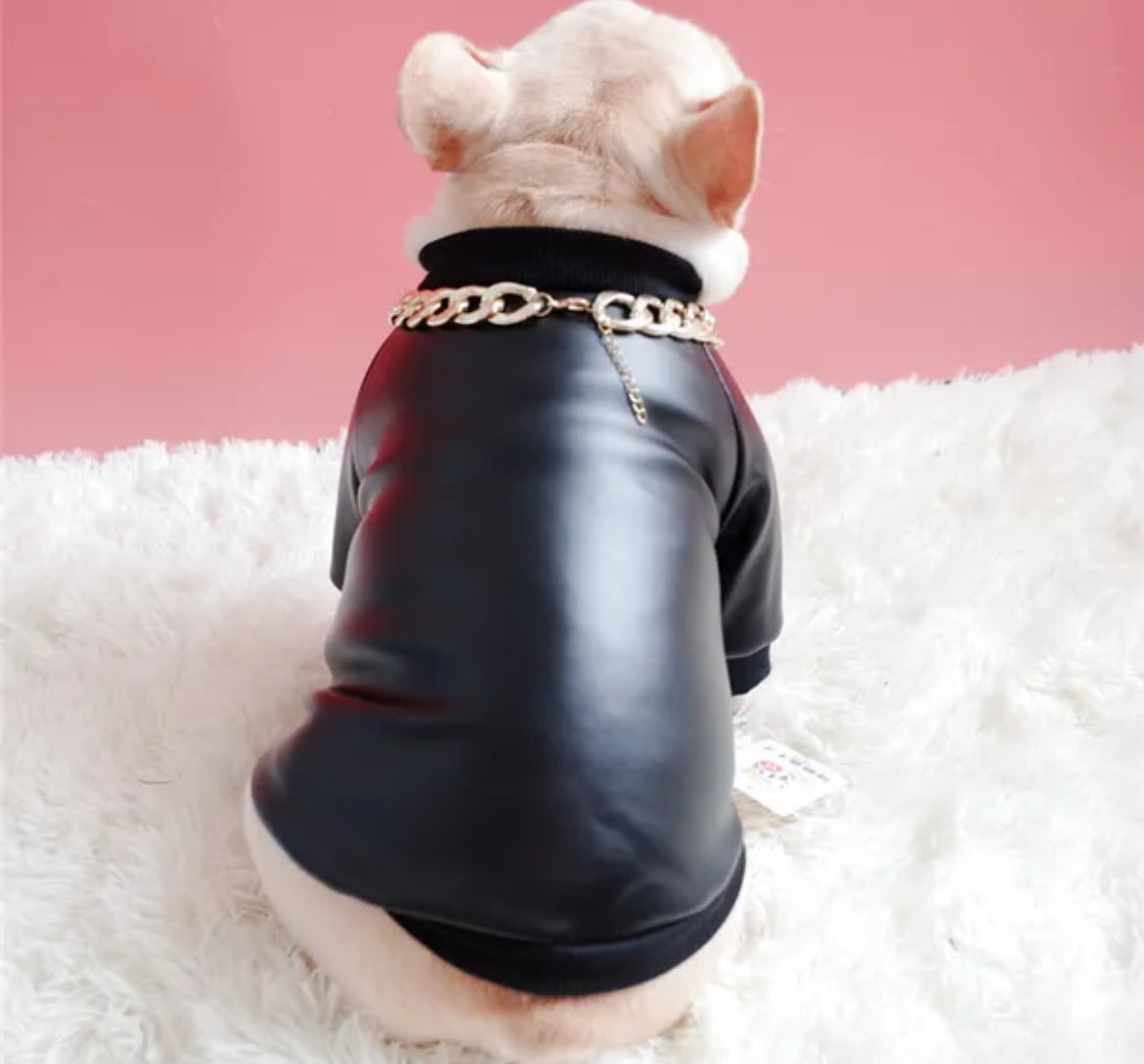 Boujee Dog Leather Jacket | Dog Jacket for Cold Weather