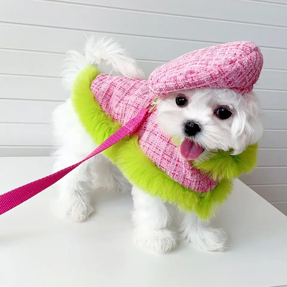Plaid Harness Set | Dog Harness Leash and Hat Set