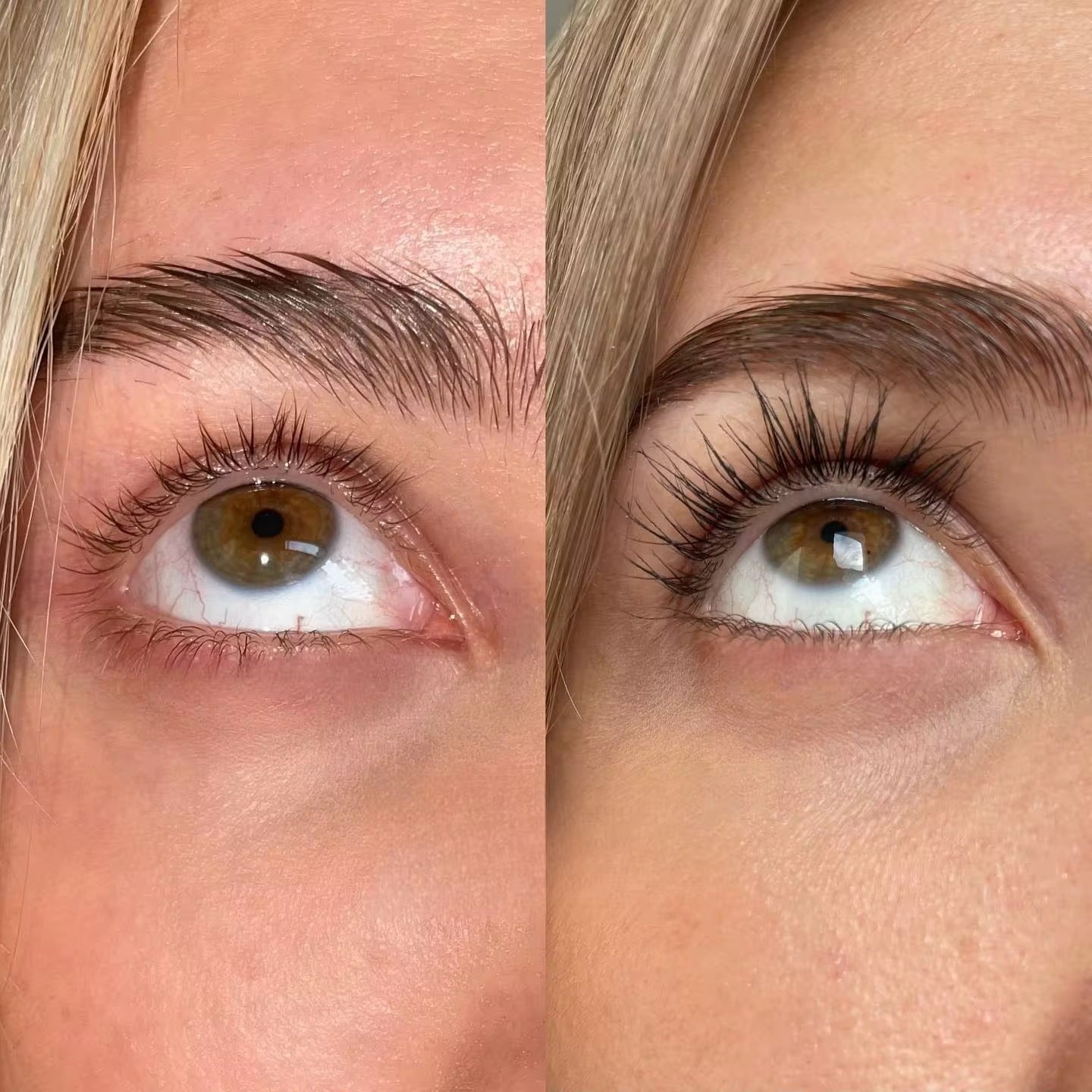 Premium Organic Lash & Brow Natural Growth Serum Set