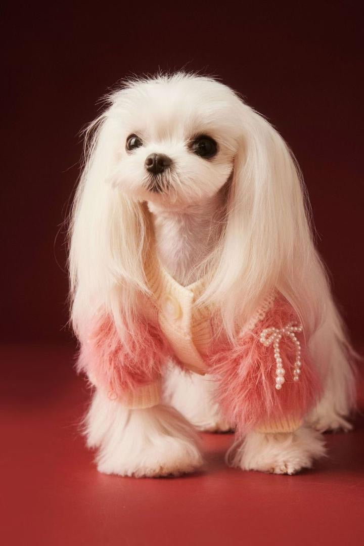 Gia Dog Sweater | Dog Sweater for Cold Weather