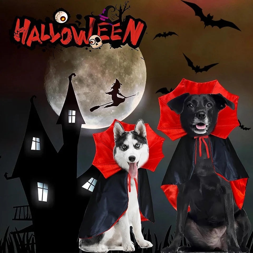 Count Dogula Halloween Costume | Halloween Dog Costume