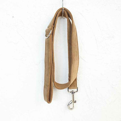 Pet dog ring leash