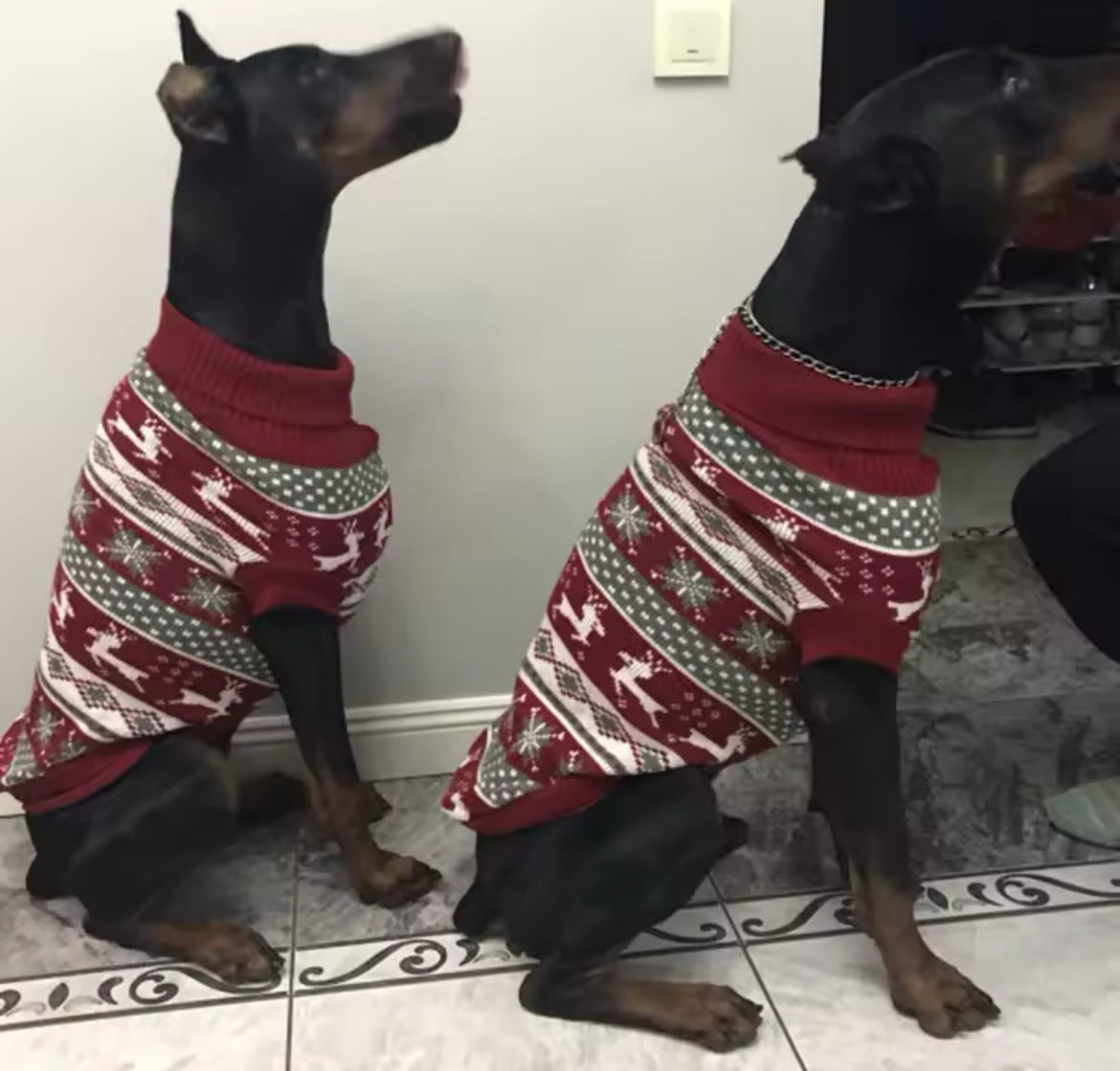 Holiday Dog Christmas Sweater | Dog Sweater for Winter