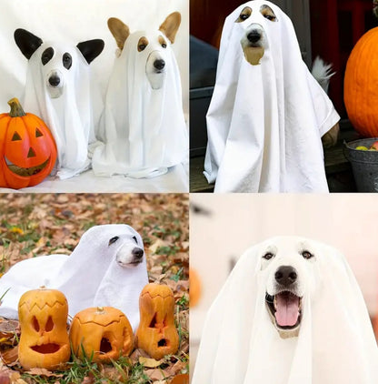 Ghost Dog Costume | Halloween Dog Costume