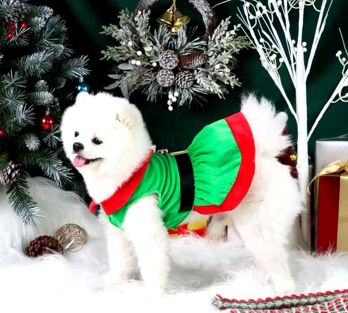 Christmas Dog Dress – Festive Holiday Dress for Dogs