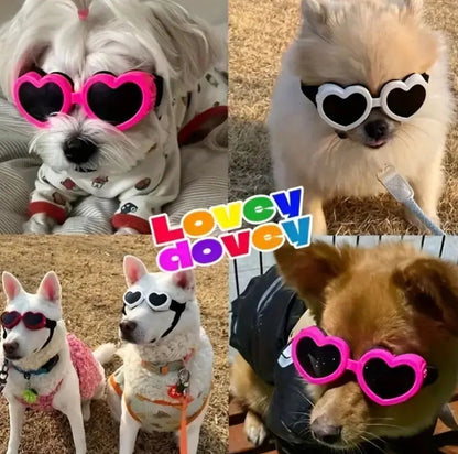 Heart Dog Goggles | Heart Shape Dog Eyewear