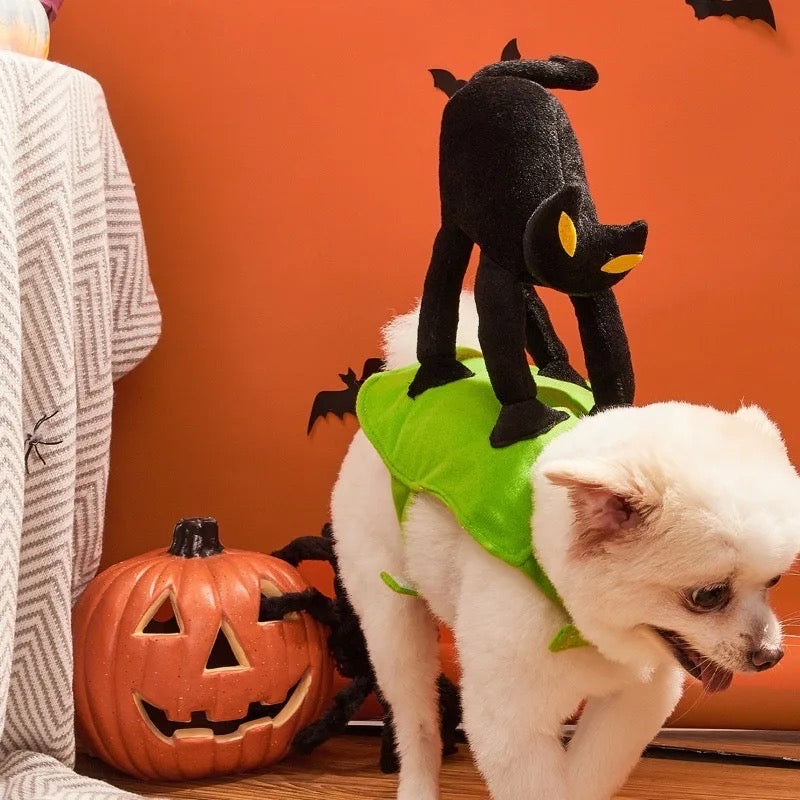 A Scaredy Cat Dog Halloween Costume