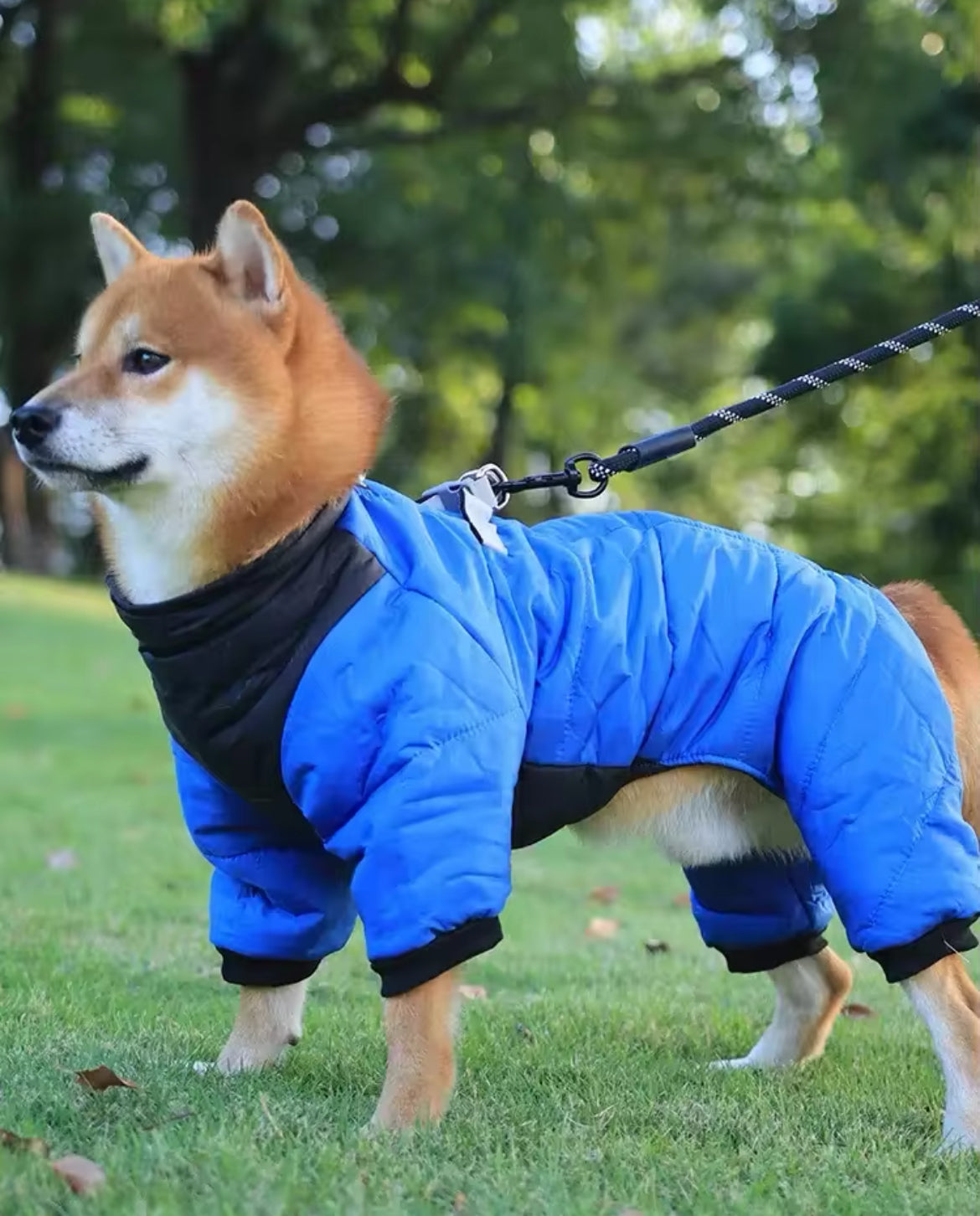 Vancouver Dog Rain Jacket | Waterproof Dog Jacket