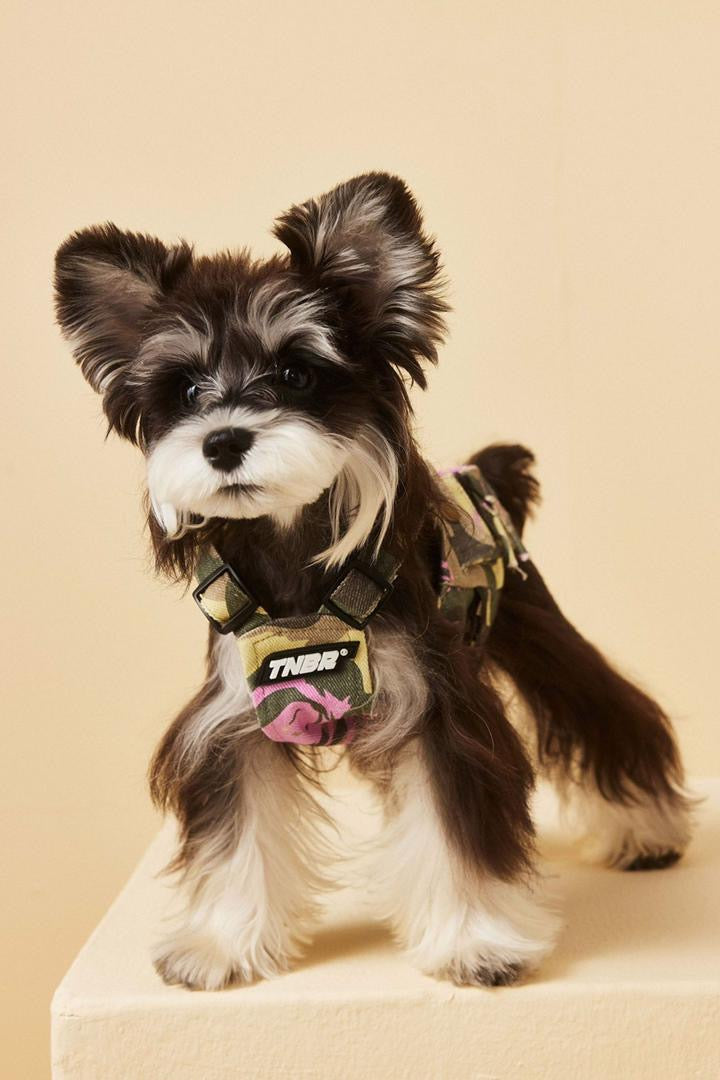 Fall Dog Vest | Dog Vest for Cool Weather