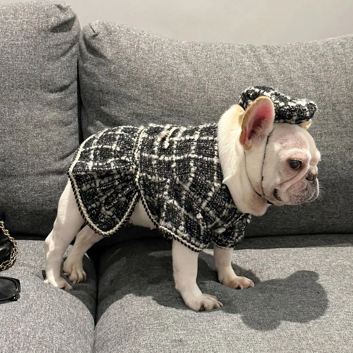 Dog Dress Coat & Hat Set | Chewnel Tweed Two-Piece Outfit