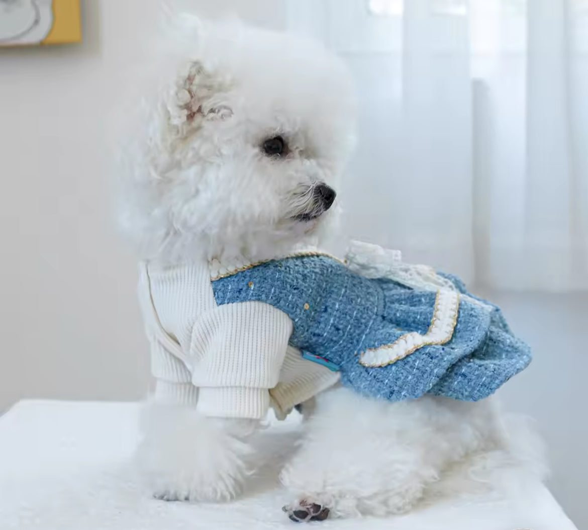 Stella Dog Dress | Dog Dress for Everyday Wear