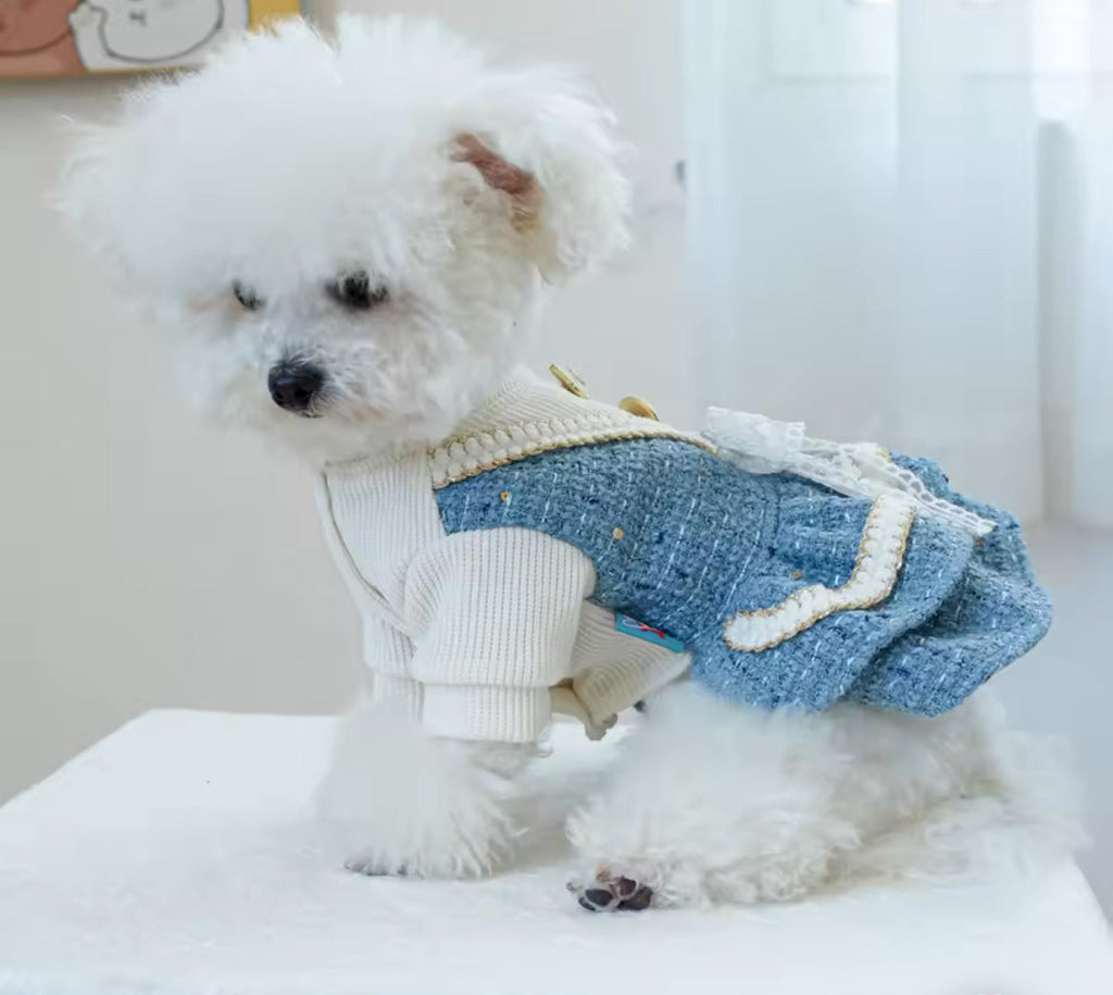 Stella Dog Dress | Dog Dress for Everyday Wear