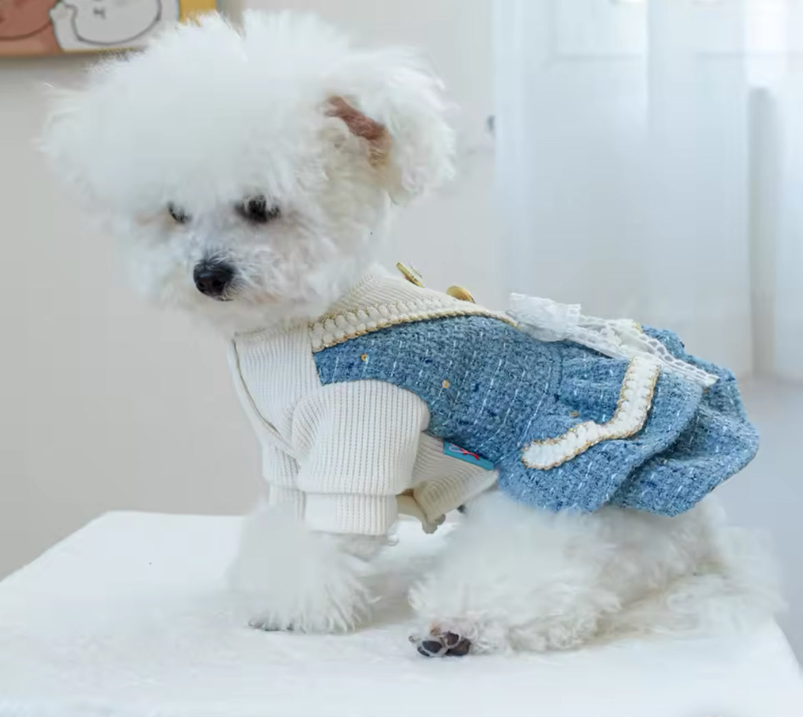 Stella Dog Dress | Dog Dress for Everyday Wear