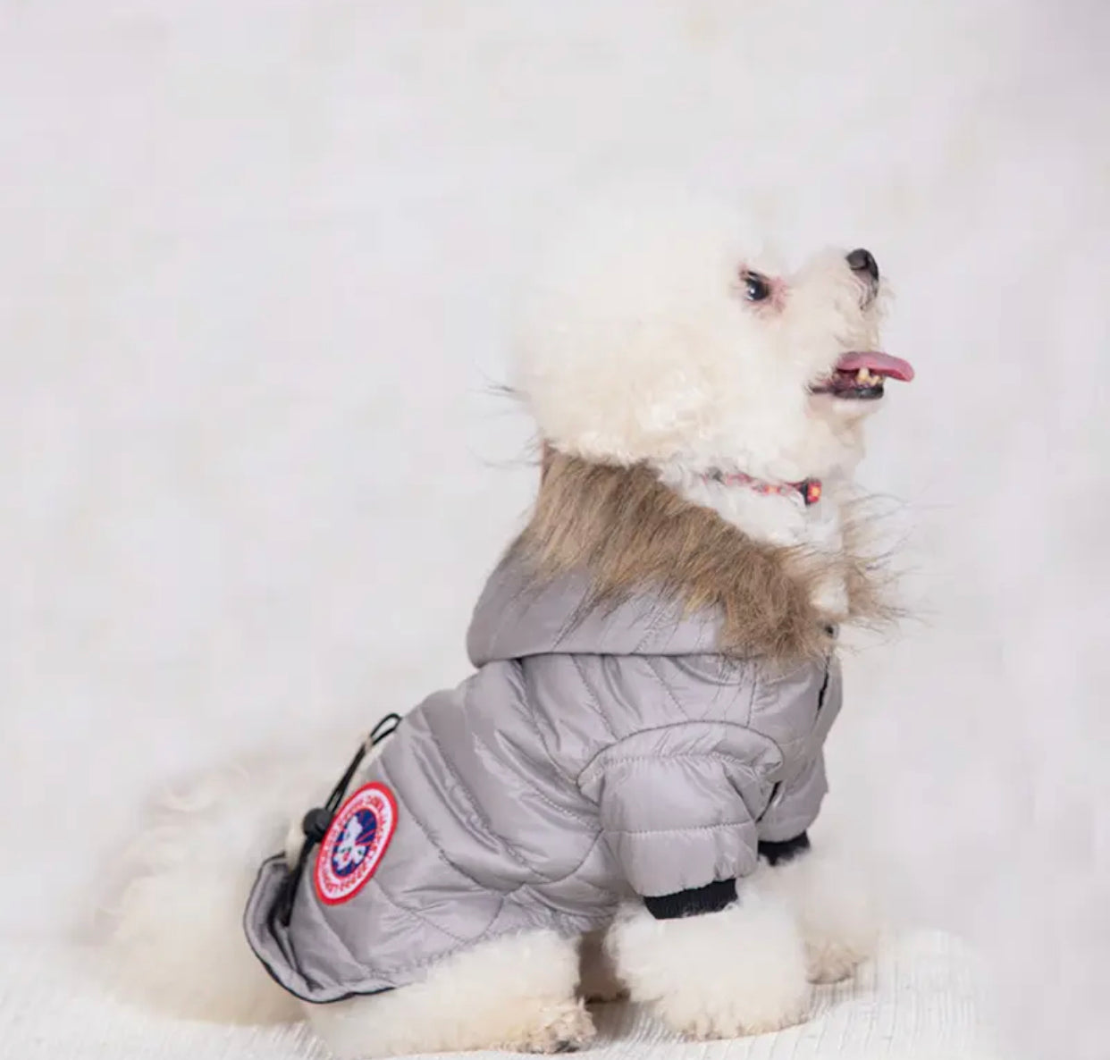Canada Dog Jacket | Insulated Winter Dog Jacket with Fur Hood