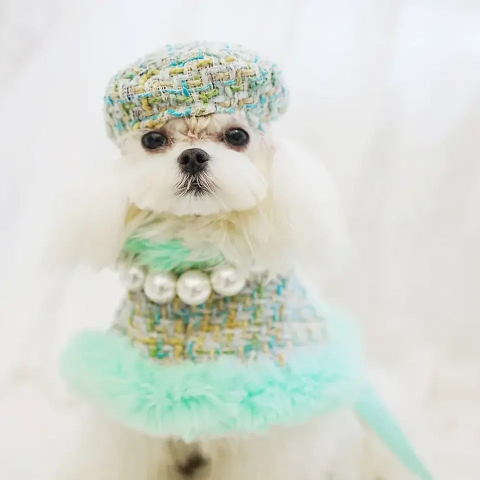 Riviera Tweed Dog Harness Set | Harness Hat and Leash Outfit