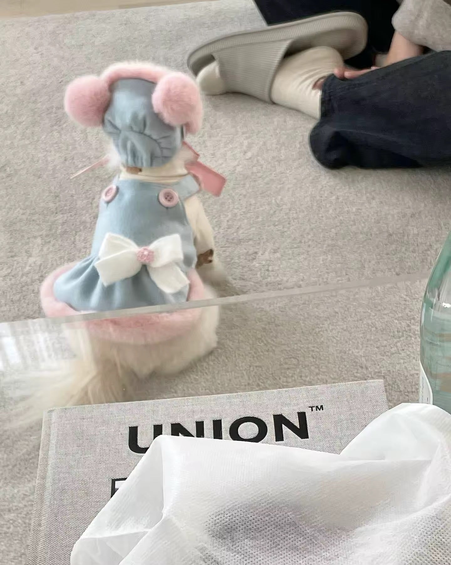 Baby Blue Easter Bunny Outfit – Easter Dog Hat Set