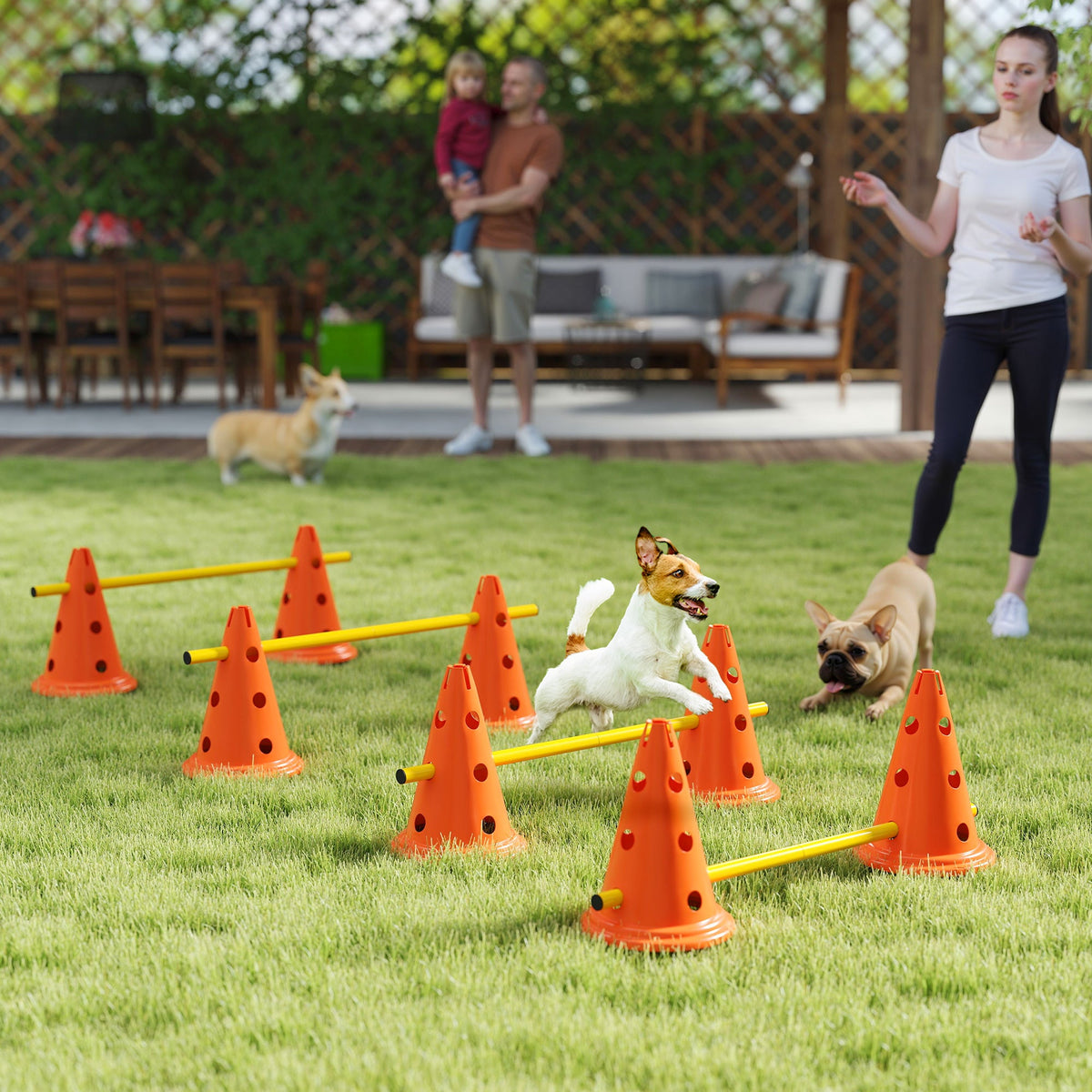 Dog Agility Hurdle Cone Set, Adjustable Obstacle Course Equipment with 8 Cones & 8 Poles, Carry Bag, Orange