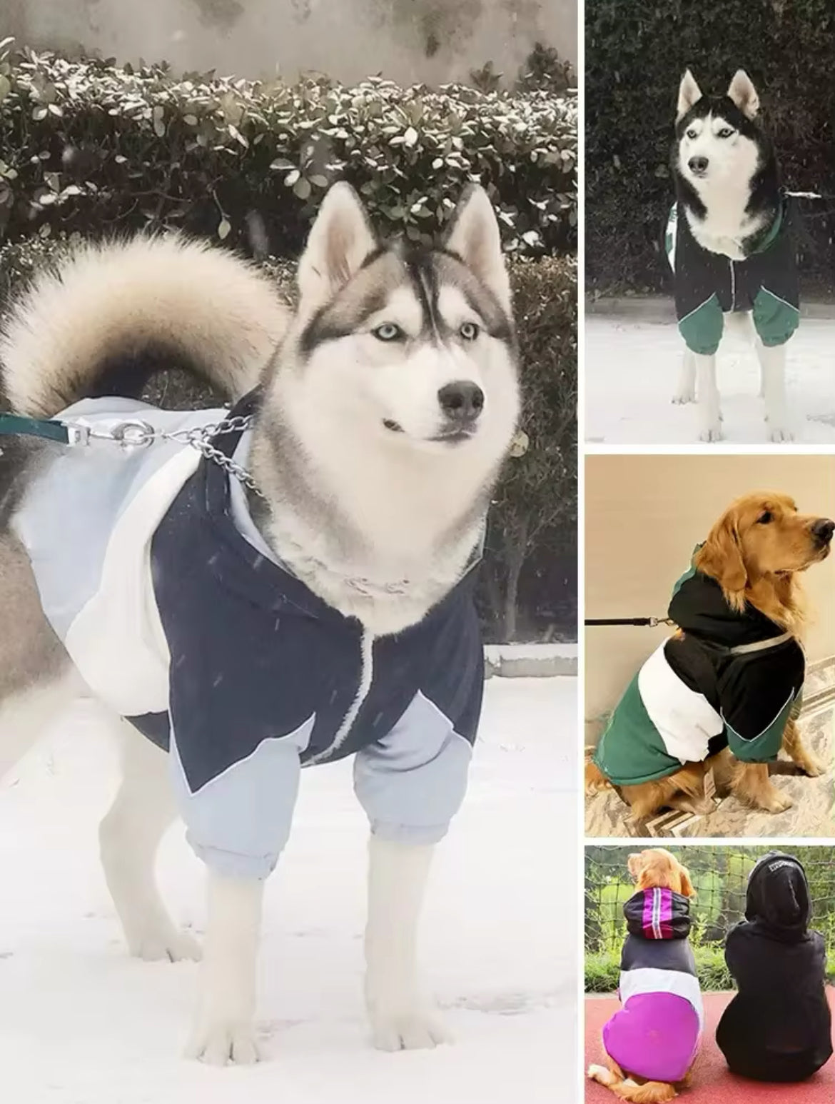Reflective Dog Rain Jacket | Waterproof Dog Jacket