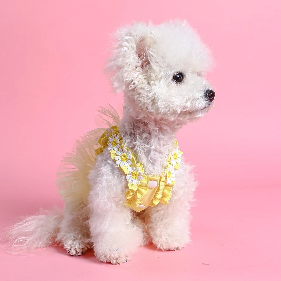 Easter Bunny Dress