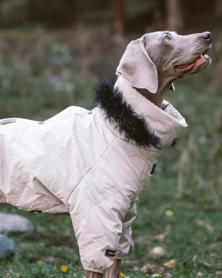 Winter Dog Jacket | Dog Jacket with Hood for Cold Weather
