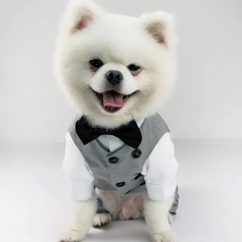 Distinguished Gentleman Two-Piece Dog Suit | Formal Dog Outfit Set