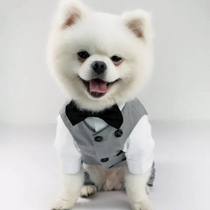 Distinguished Gentleman Two-Piece Dog Suit | Formal Dog Outfit Set