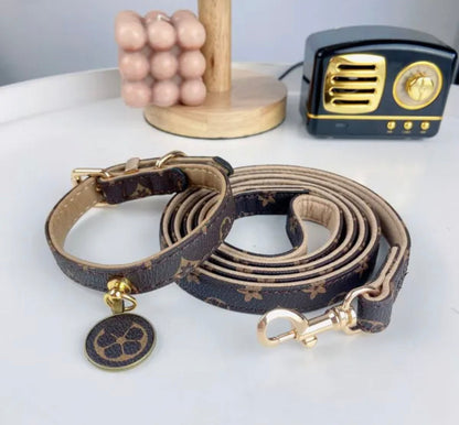 Gigi Brown Dog Collar and Leash Set | Dog Walking Outfit