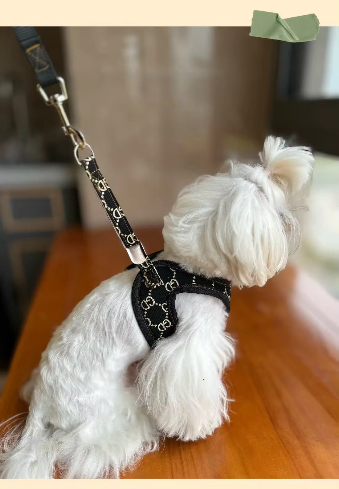 Gigi Dog Harness & Leash Set | Adjustable Dog Walking Set