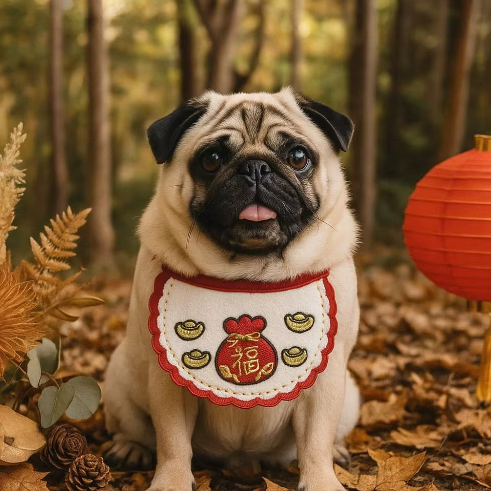 Fortune Blessing Chinese New Year Pet Bib | Dog & Cat Lunar Accessory