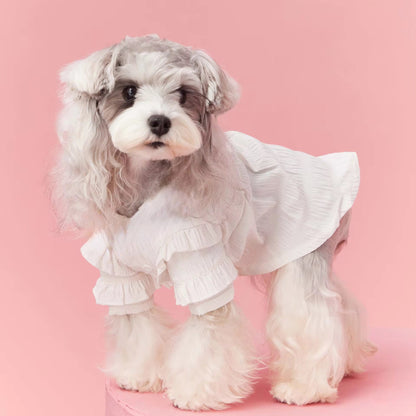Alice Blouse for Dogs – Elegant Dog Blouse Outfit