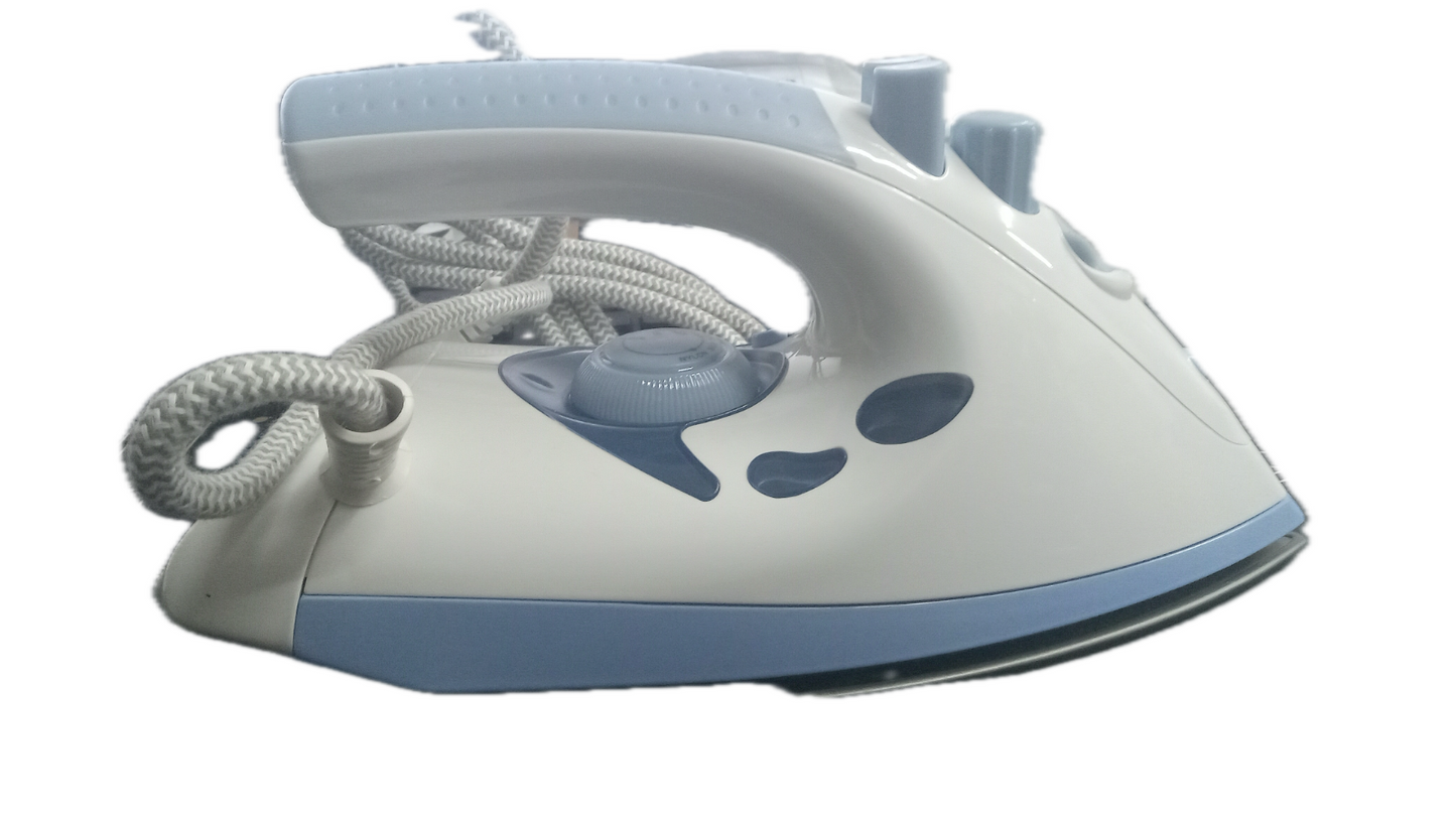 House of 220 Antique Steam Iron