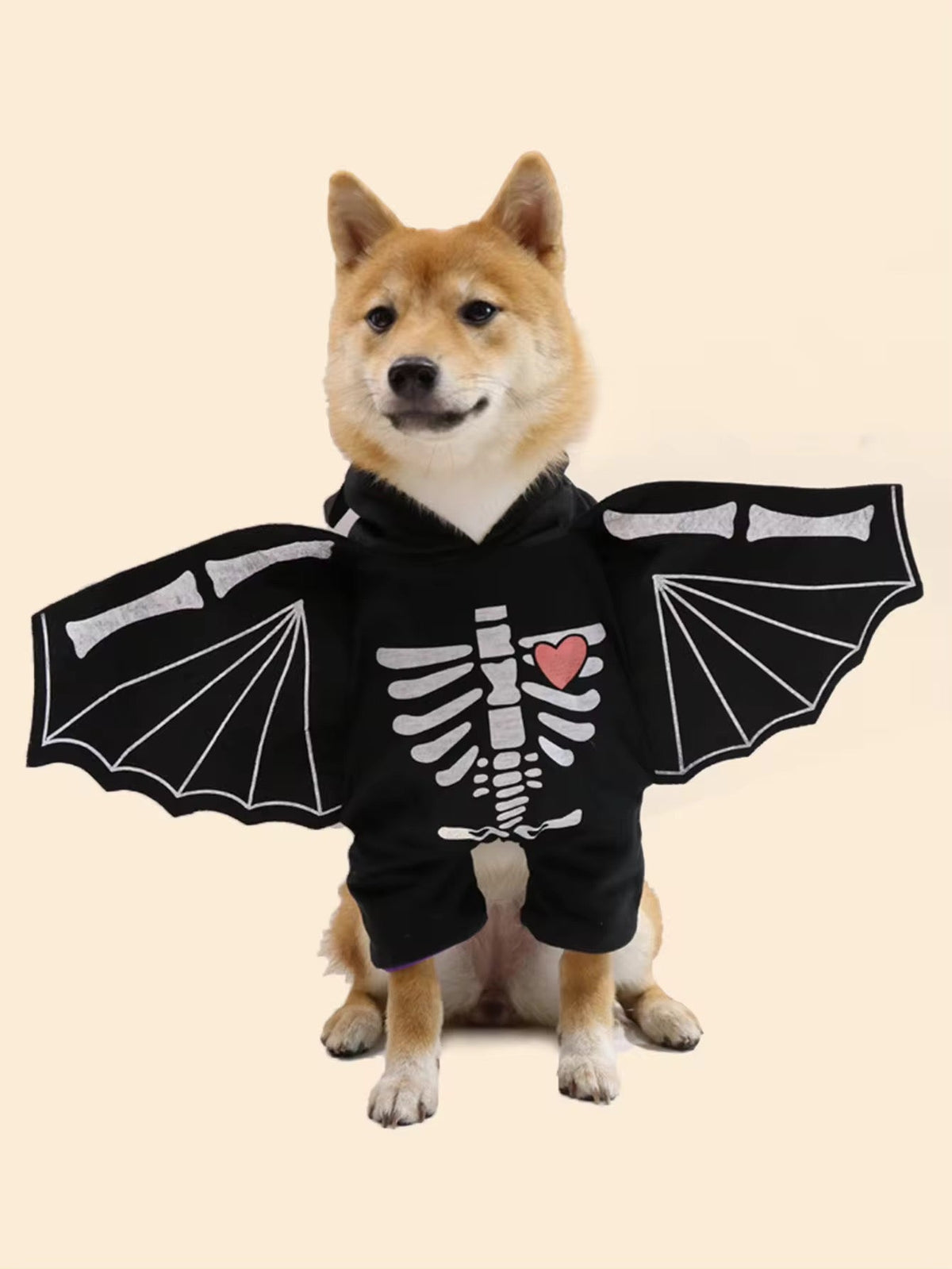 BatDog Halloween Costume | Dog Costume with Hat