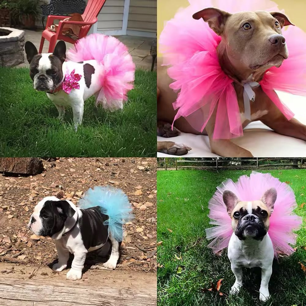 Doggy Couture Tutu Skirt – Luxury Tulle Skirt for Dogs