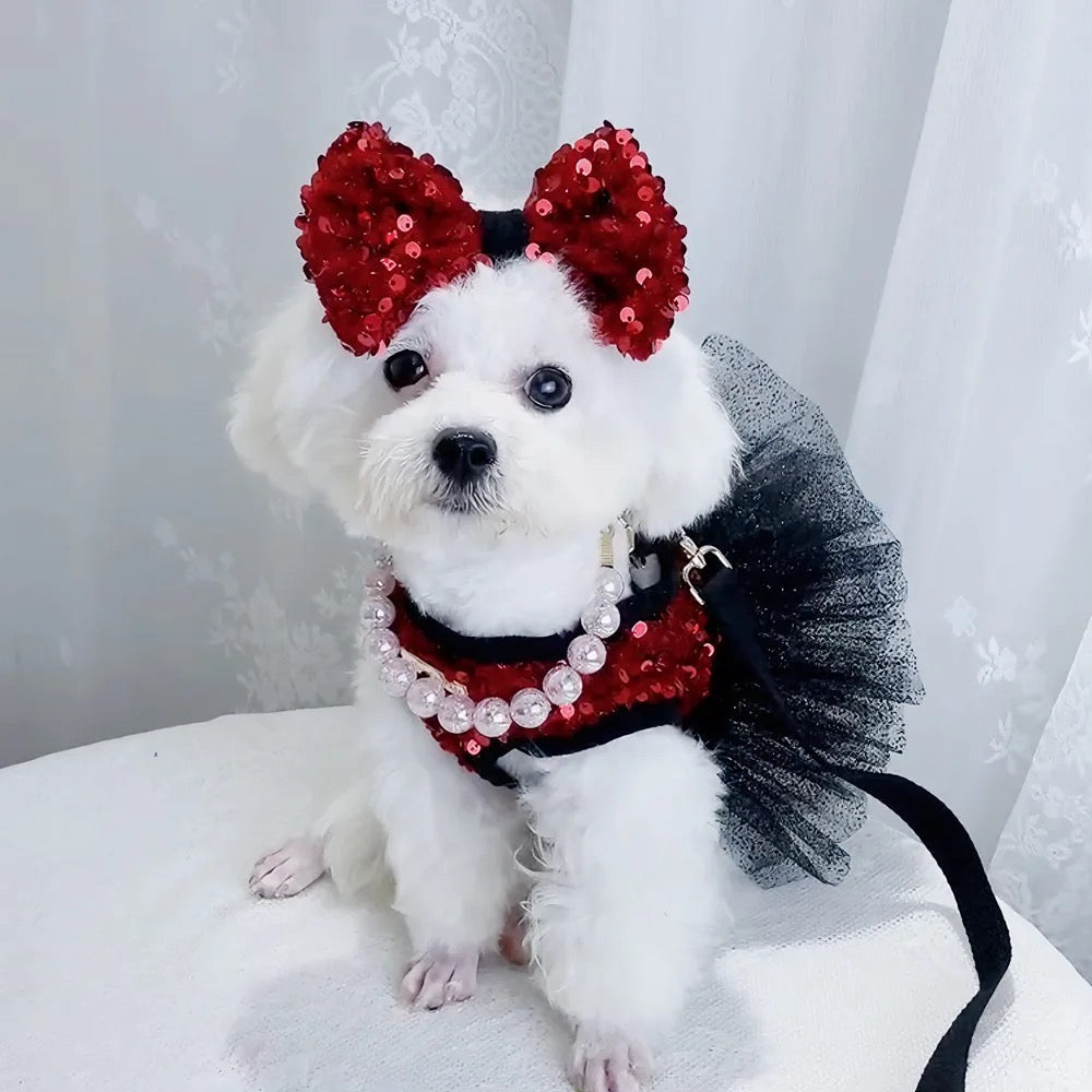 Giselle Noir Dog Dress Set | Formal Dress with Matching Bow