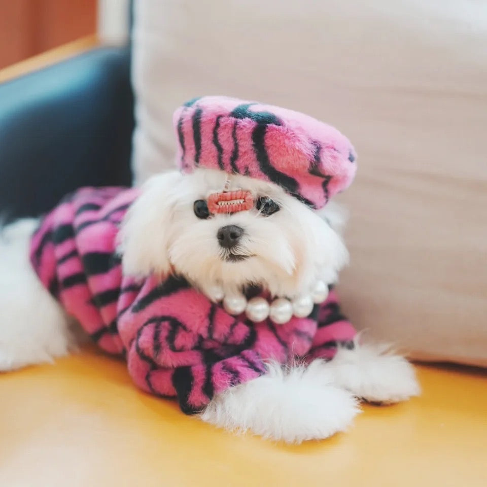 Zebra Cape and Hat Set | Dog Costume Set