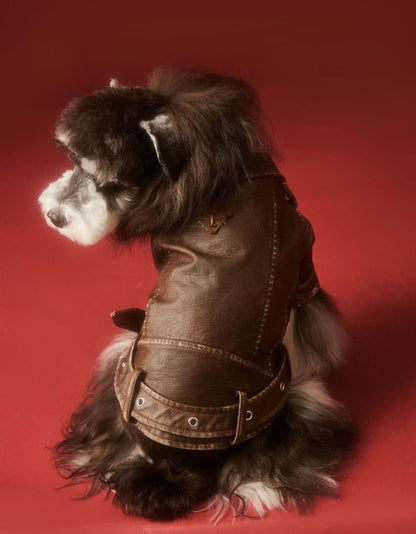 Lenny Dog Jacket | Dog Jacket for Cold Weather