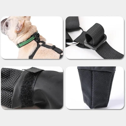 Vancouver Dog Boots | Waterproof Rain Dog Boots