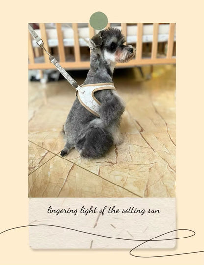 Gigi Dog Harness & Leash Set | Comfortable Dog Walking Set