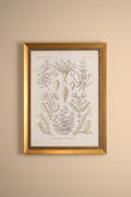 ESSENCE MARINE, CADRE VINTAGE OR