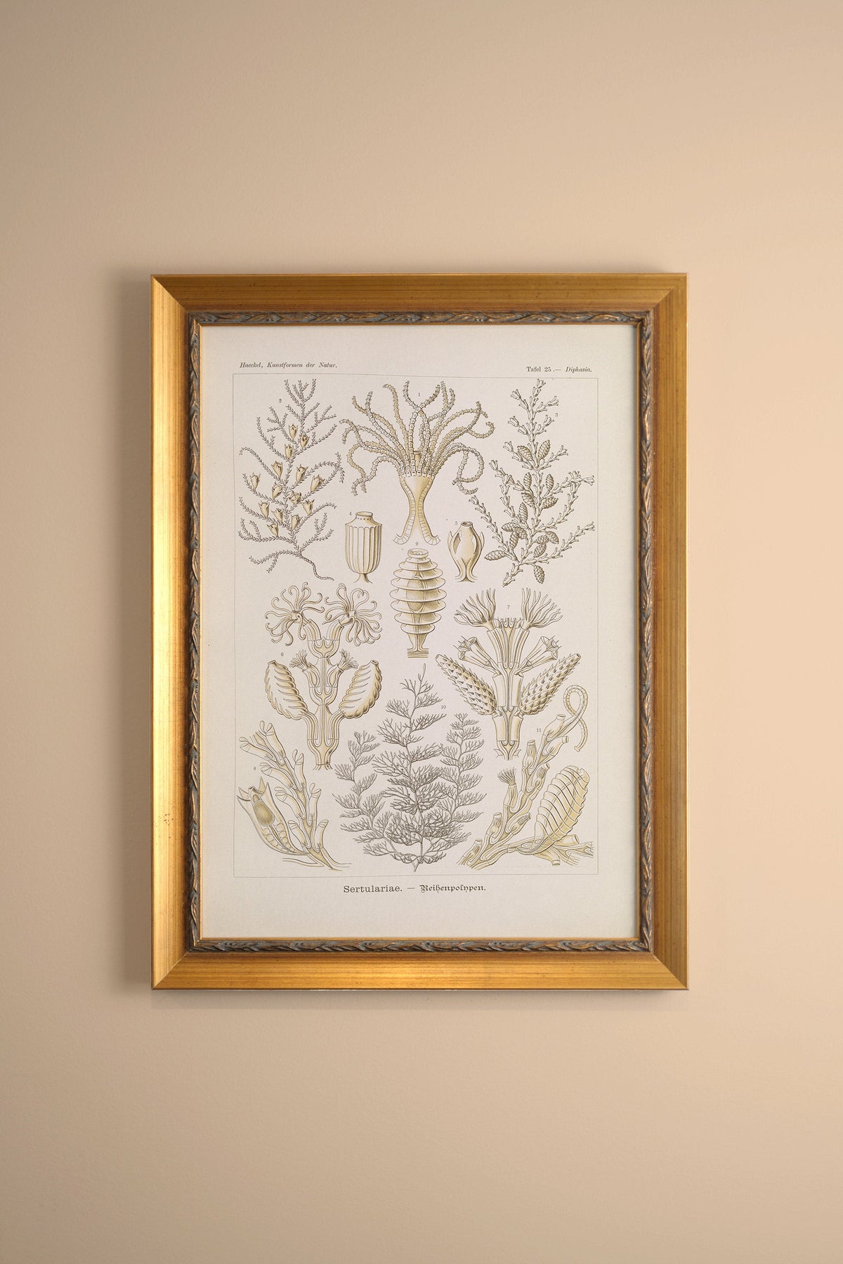 ESSENCE MARINE, CADRE VINTAGE OR