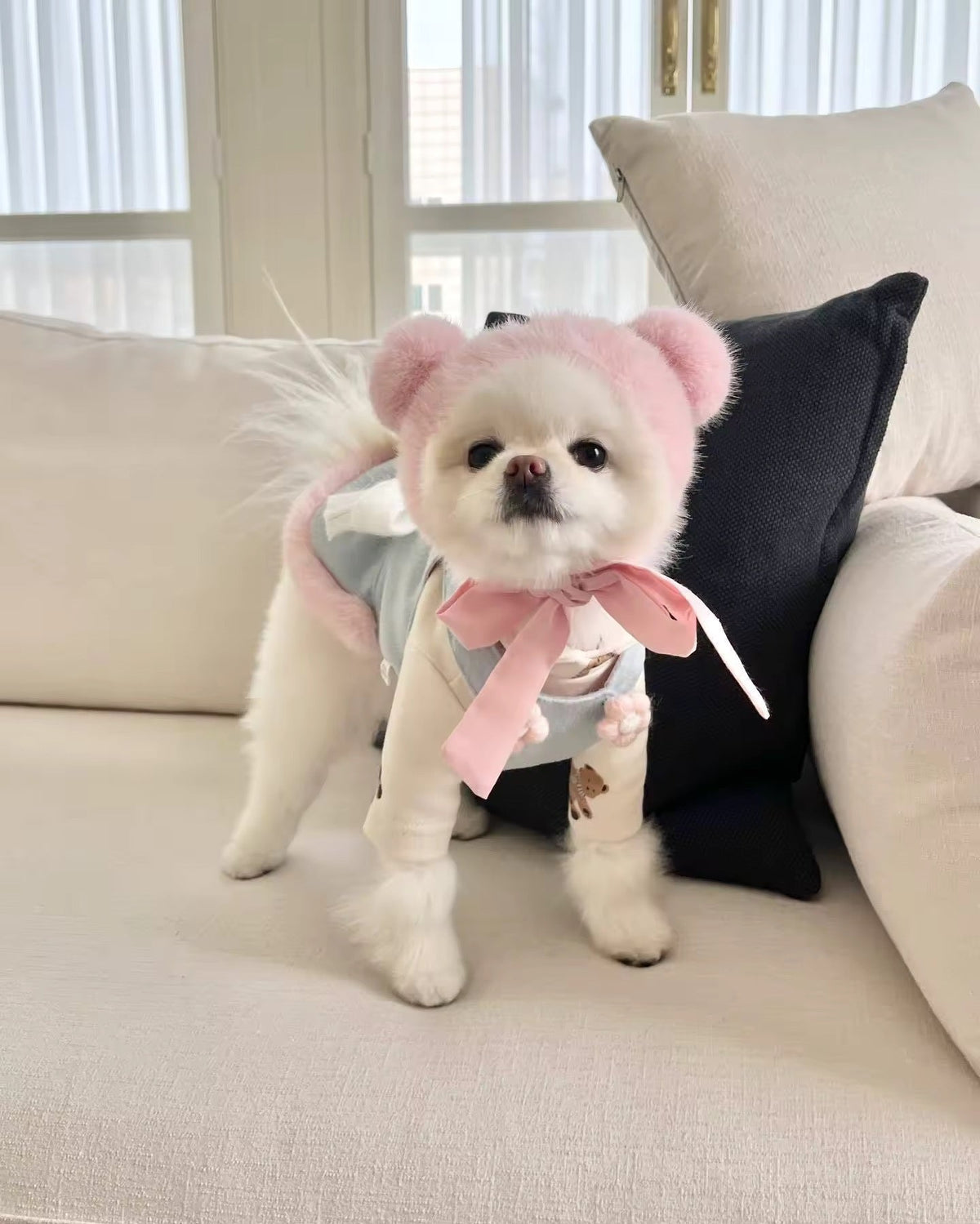 Baby Blue Easter Bunny Outfit – Easter Dog Hat Set