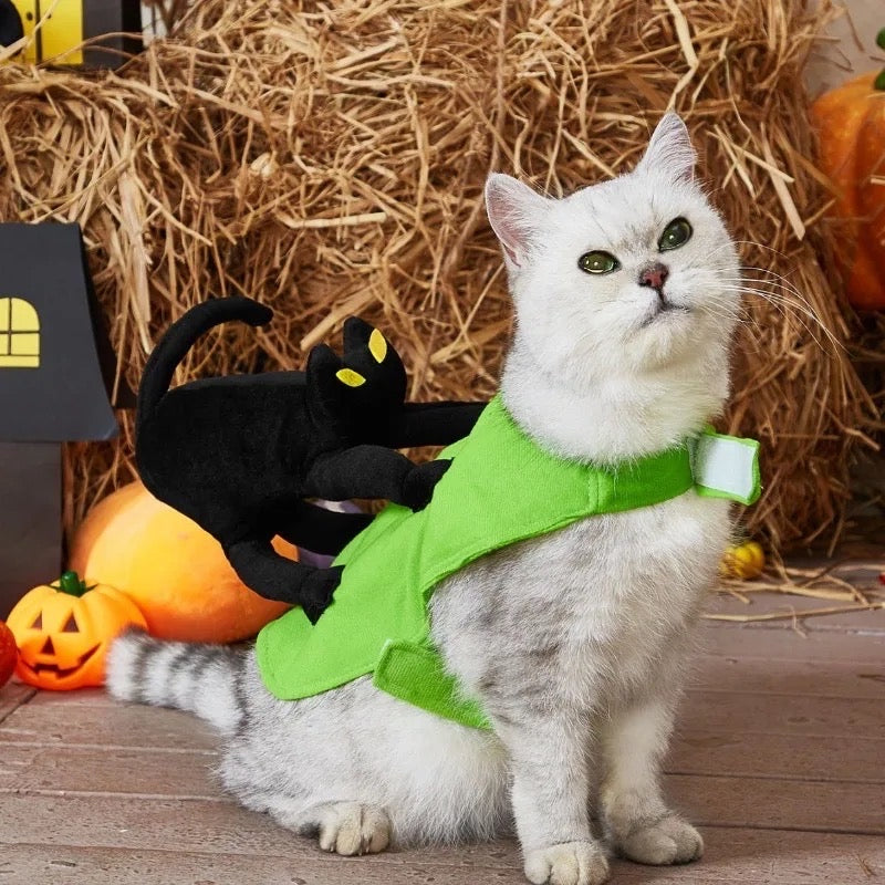 A Scaredy Cat Dog Halloween Costume