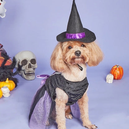 Witch Hat Dog Dress | Halloween Costume